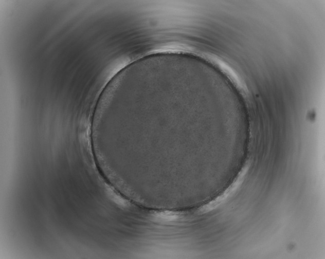 X0000102351329200808151742