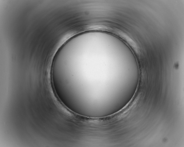 X0000102351330200808151742