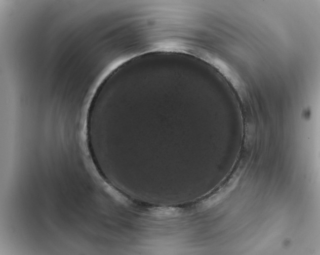 X0000102351331200808151742