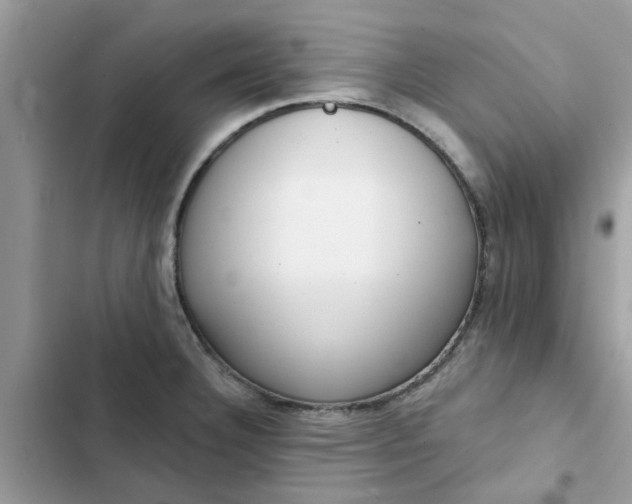 X0000102351332200808151742