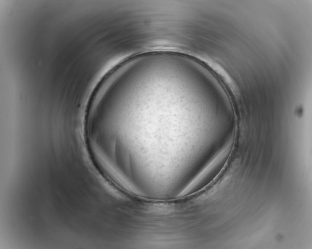 X0000102351333200808151742