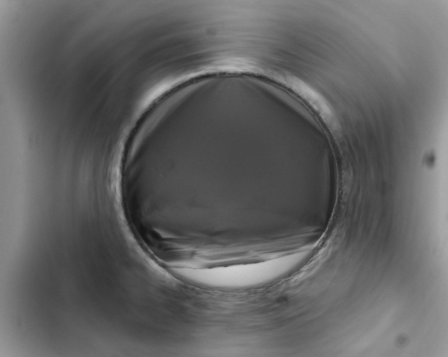 X0000102351334200808151742