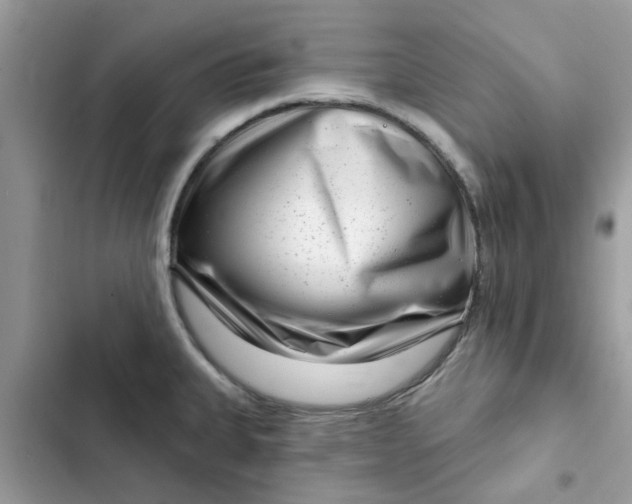 X0000102351335200808151742