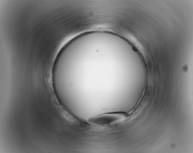 X0000102351336200808151742