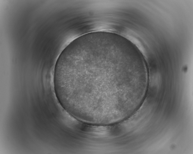 X0000102351338200808151742