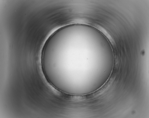 X0000102351339200808151742