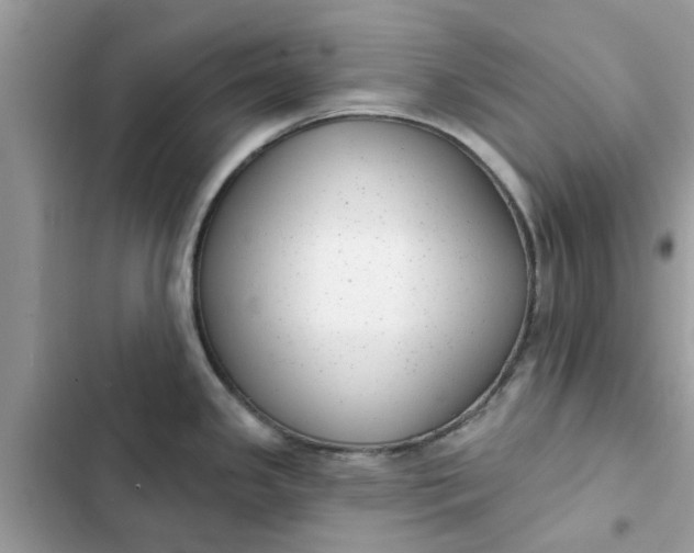 X0000102351341200808151742