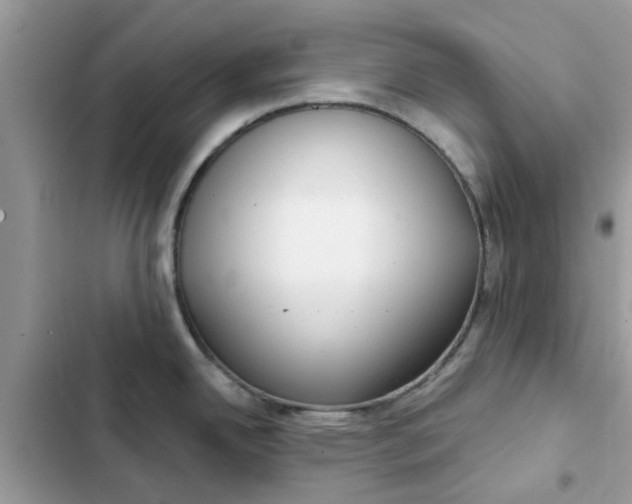 X0000102351342200808151742