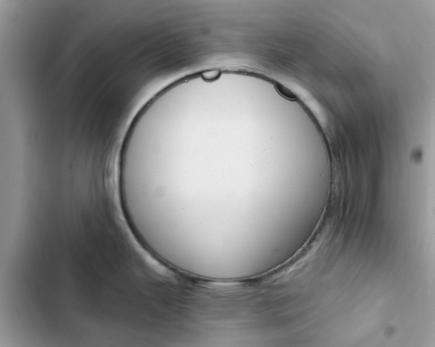 X0000102351343200808151742