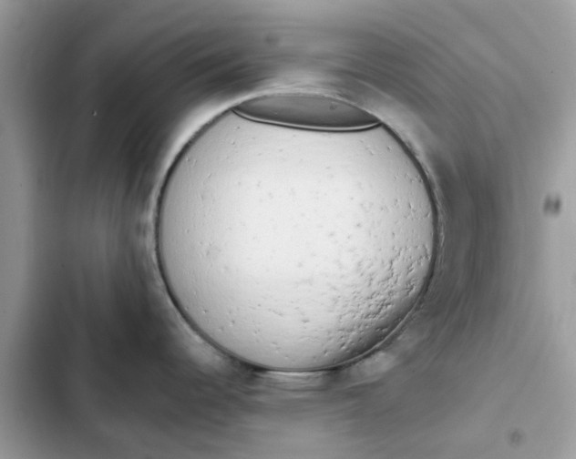 X0000102351344200808151742