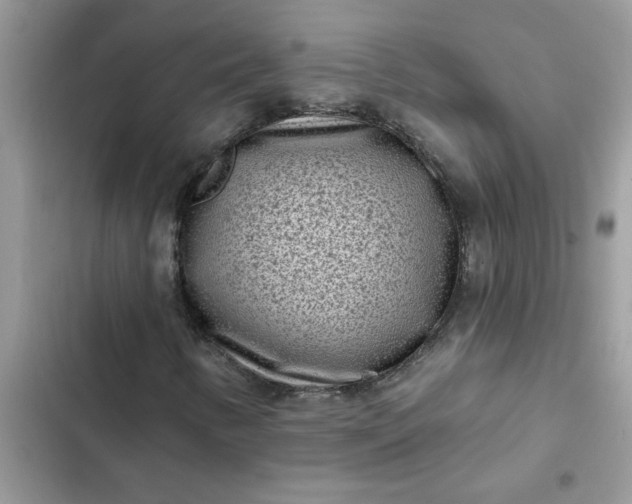 X0000102351346200808151741