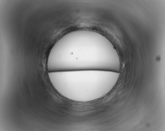 X0000102351348200808151741