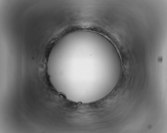 X0000102351349200808151741