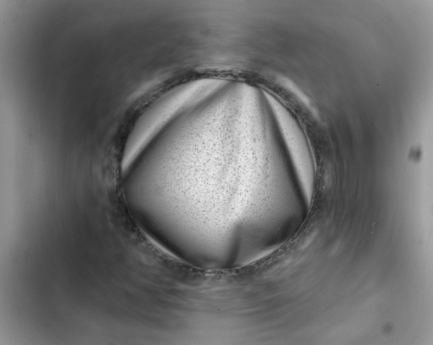 X0000102351350200808151741