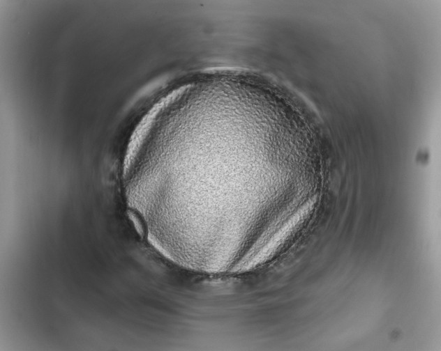 X0000102351351200808151741