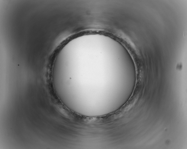 X0000102351352200808151741