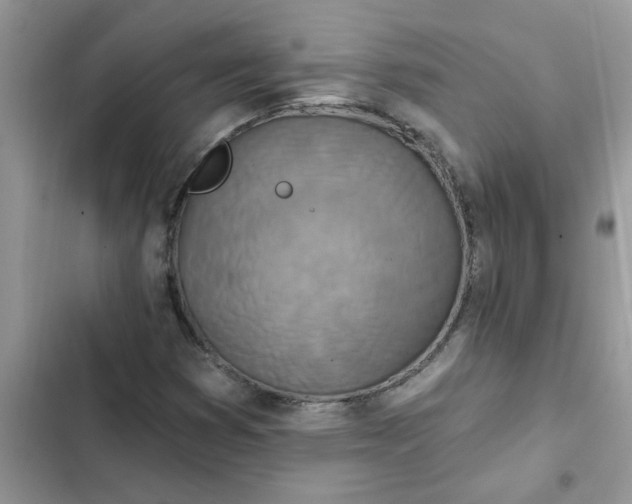 X0000102351353200808151741