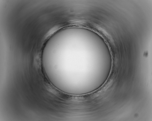 X0000102351354200808151741