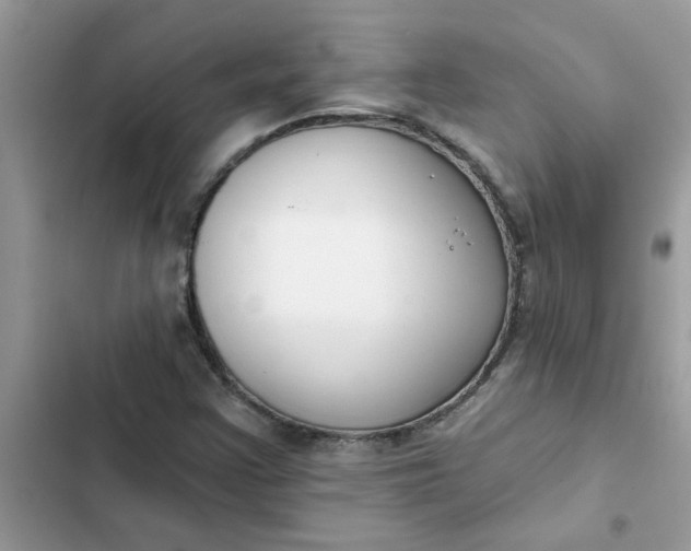 X0000102351355200808151741