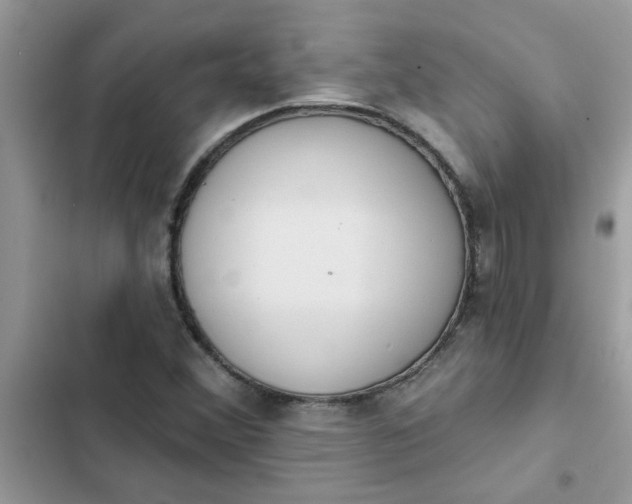 X0000102351356200808151741