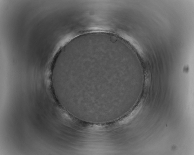 X0000102351357200808151741