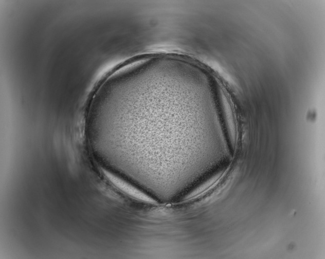 X0000102351358200808151741