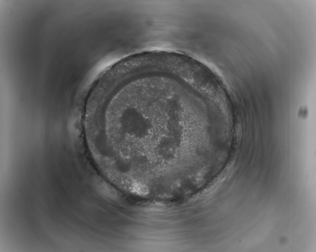 X0000102351359200808151741