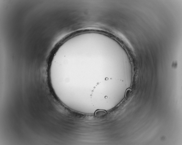 X0000102351360200808151741