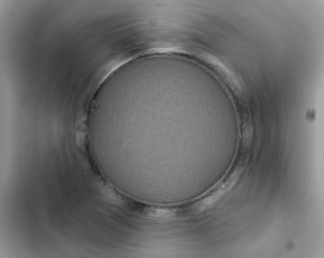 X0000102351361200808151741