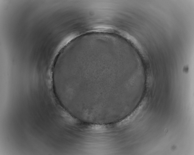 X0000102351362200808151741