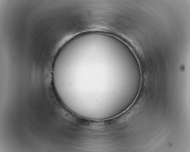 X0000102351363200808151741