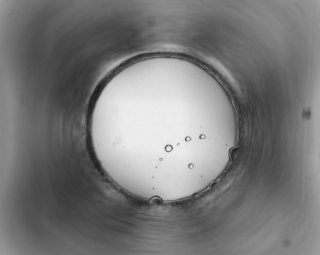 X0000102351364200808151741