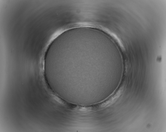 X0000102351365200808151741