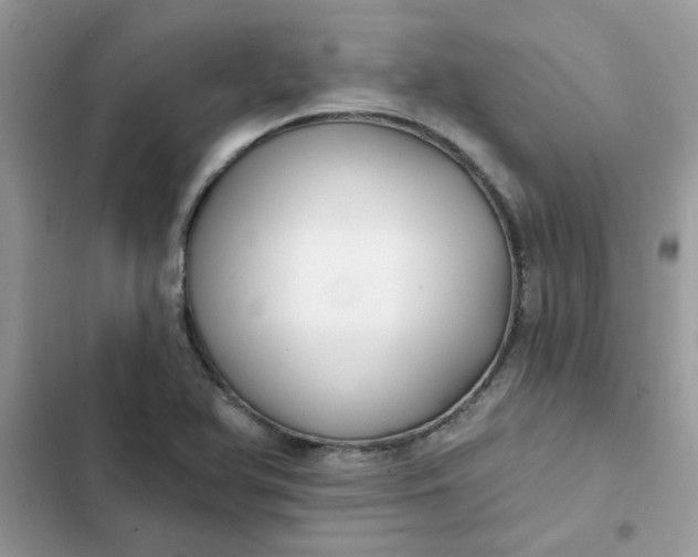 X0000102351366200808151741