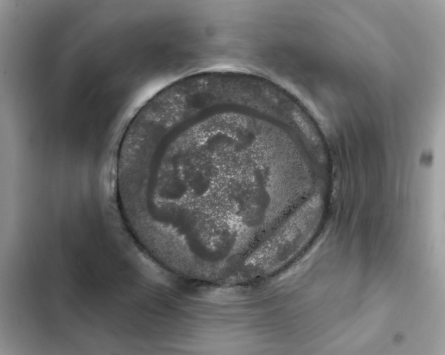 X0000102351367200808151741