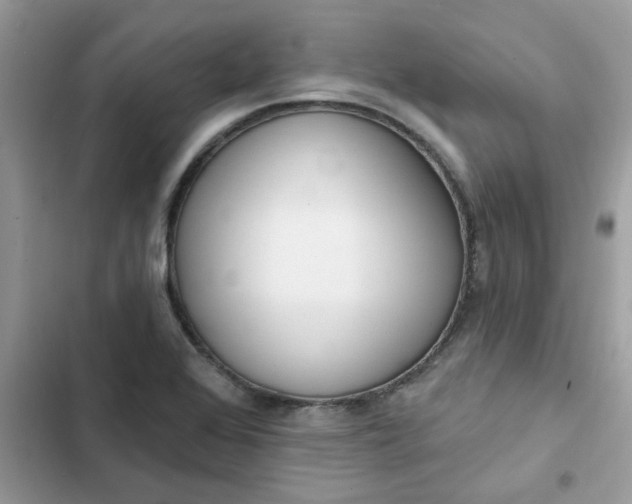 X0000102351368200808151741