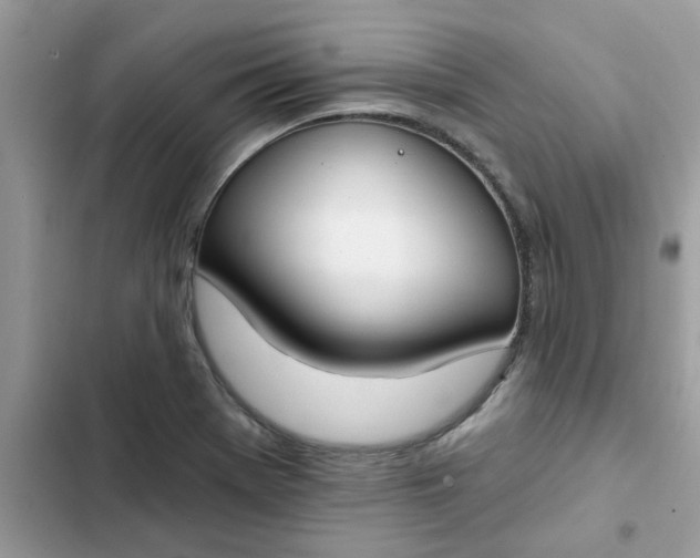 X0000102351369200808151741