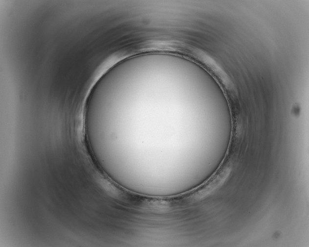 X0000102351370200808151741