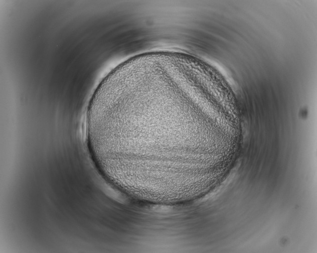 X0000102351371200808151741