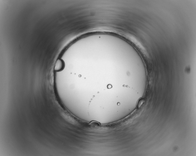 X0000102351372200808151741