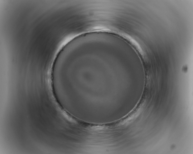 X0000102351373200808151741