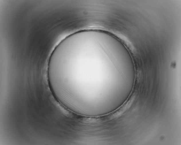 X0000102351374200808151741