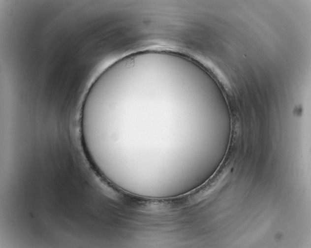 X0000102351375200808151741