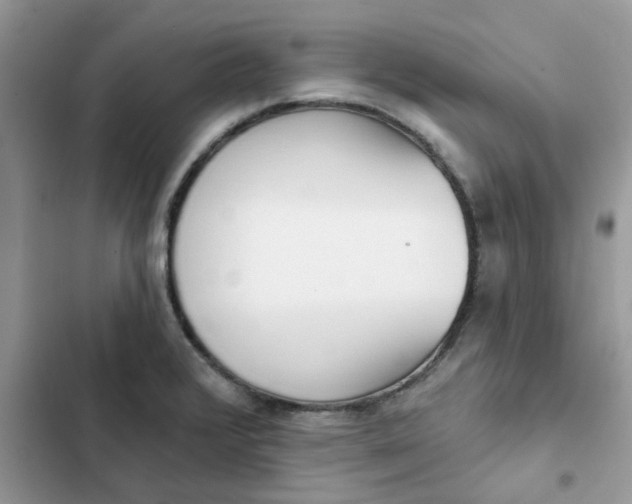 X0000102351376200808151741