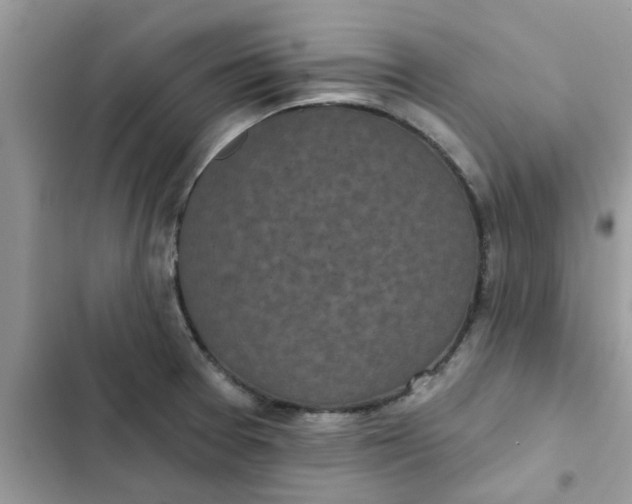 X0000102351377200808151741