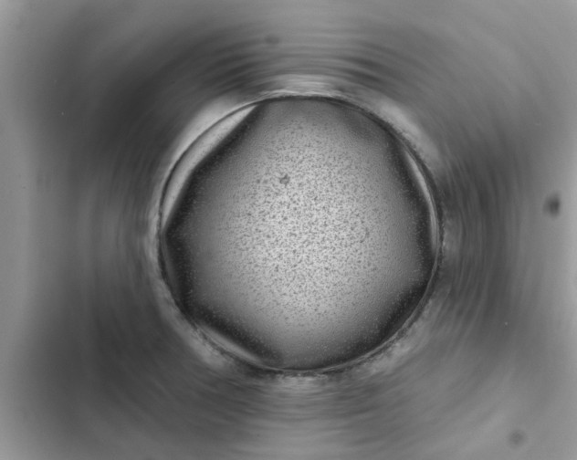 X0000102351378200808151741