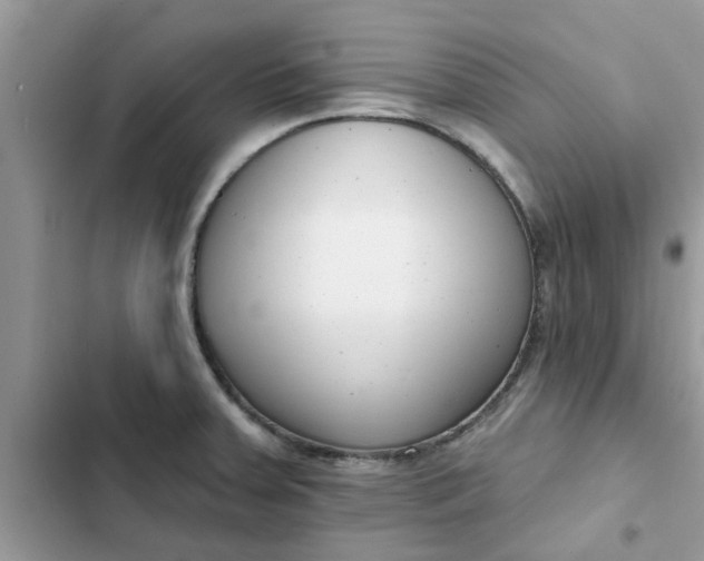 X0000102351379200808151741