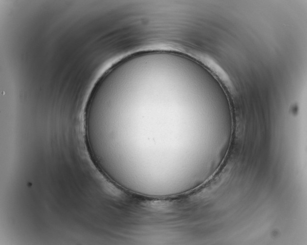 X0000102351380200808151741