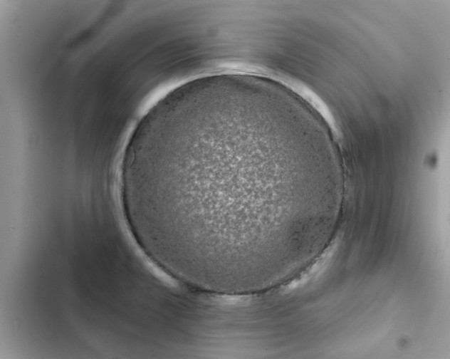 X0000102351381200808151741