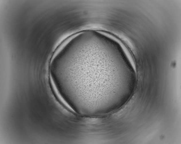 X0000102351382200808151741